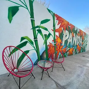 Panda , Mendoza Argentina